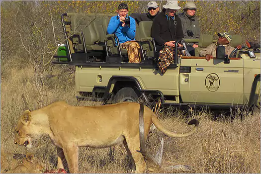 Mohlabetsi Safari Lodge game drive