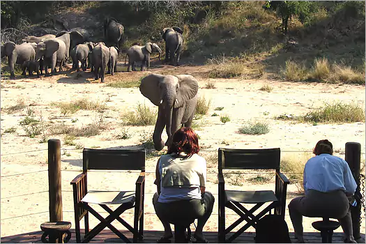 Rhino Post SAfari Lodge
