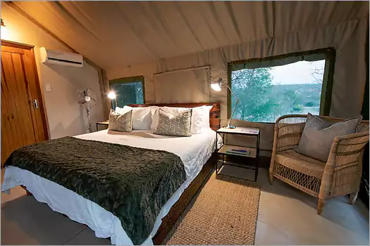 Sausage Tree Safari Camp Balule game reserve