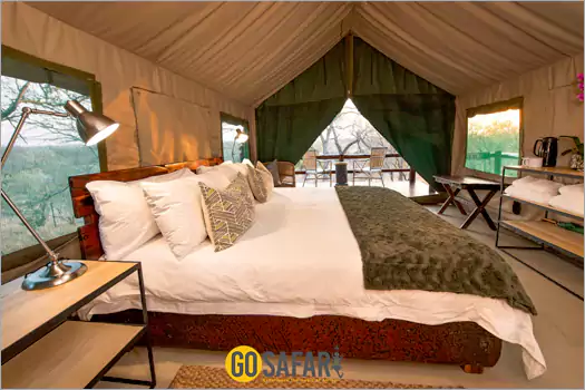 Sausage Tree Safari Camp greater kruger park