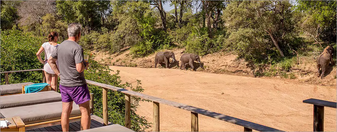Londolozi Private Game Reserve