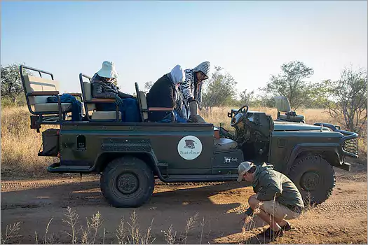 Bateleur SAfari Camp