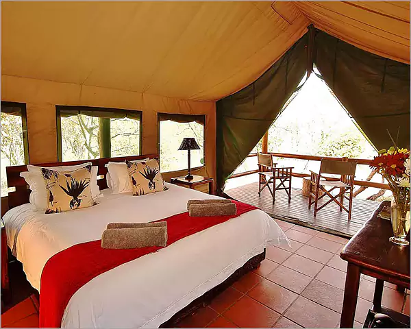 Sausage Tree Safari Camp Balule Game Reserve