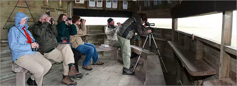 Birding in Kruger Park