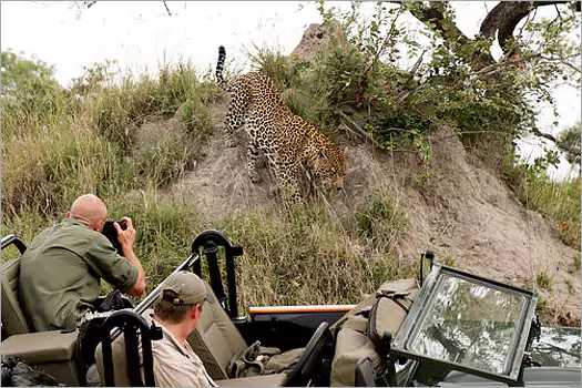Boulders Luxury Lodge in Singita, Sabi Sands