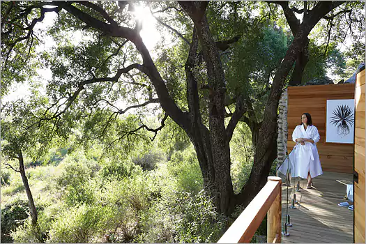 Londolozi Healing House Retreat