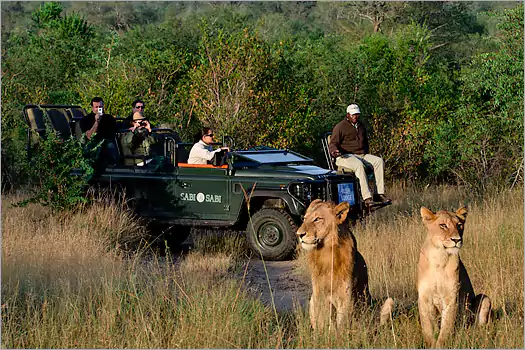 Sabi Sabi Earth Lodge game drive
