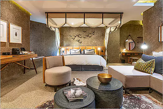 Sabi Sabi Earth Lodge